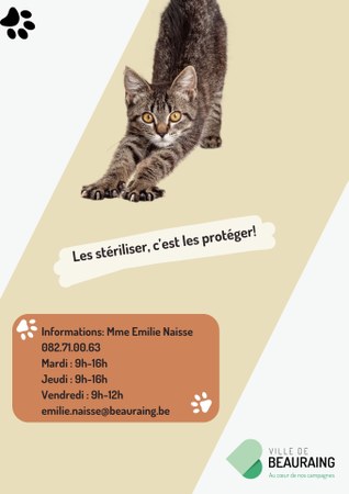 Illustration de l'actualité - cliquer pour agrandir