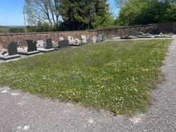 Verdissement de nos cimetières