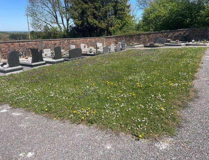 Verdissement de nos cimetières